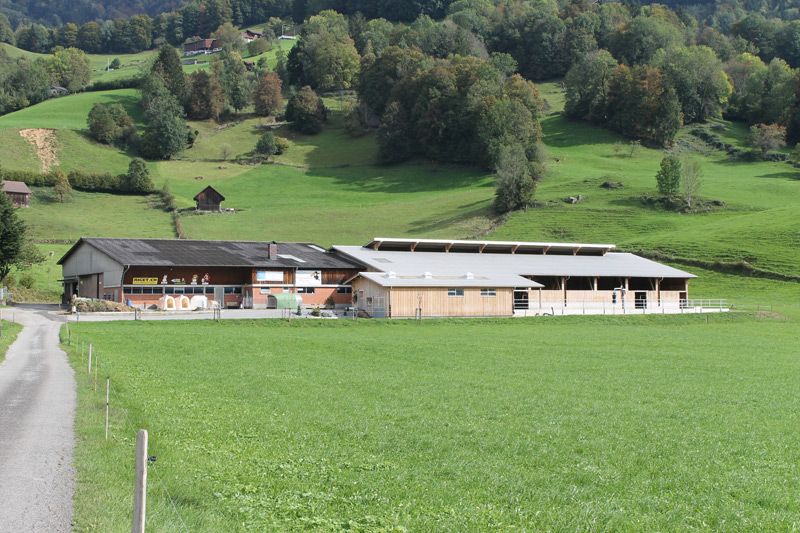 Landwirtschaftliche Bauten - A.Riget Holzbau AG - Rufi